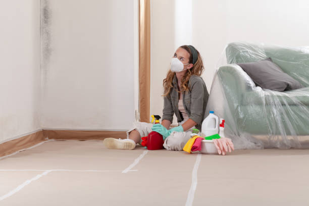 Reliable Mold Cleanup contractor in Brutus, MI by WQB Mold Removal